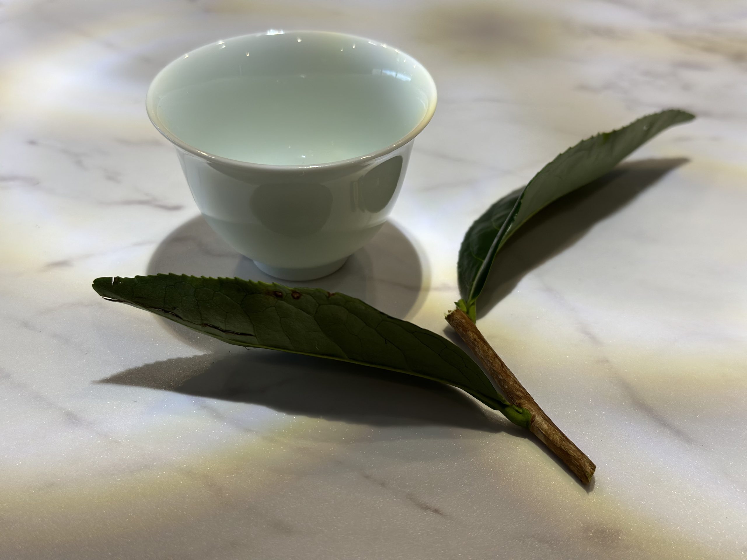 A Premium Tea Ceremony-Uekubo Chaen